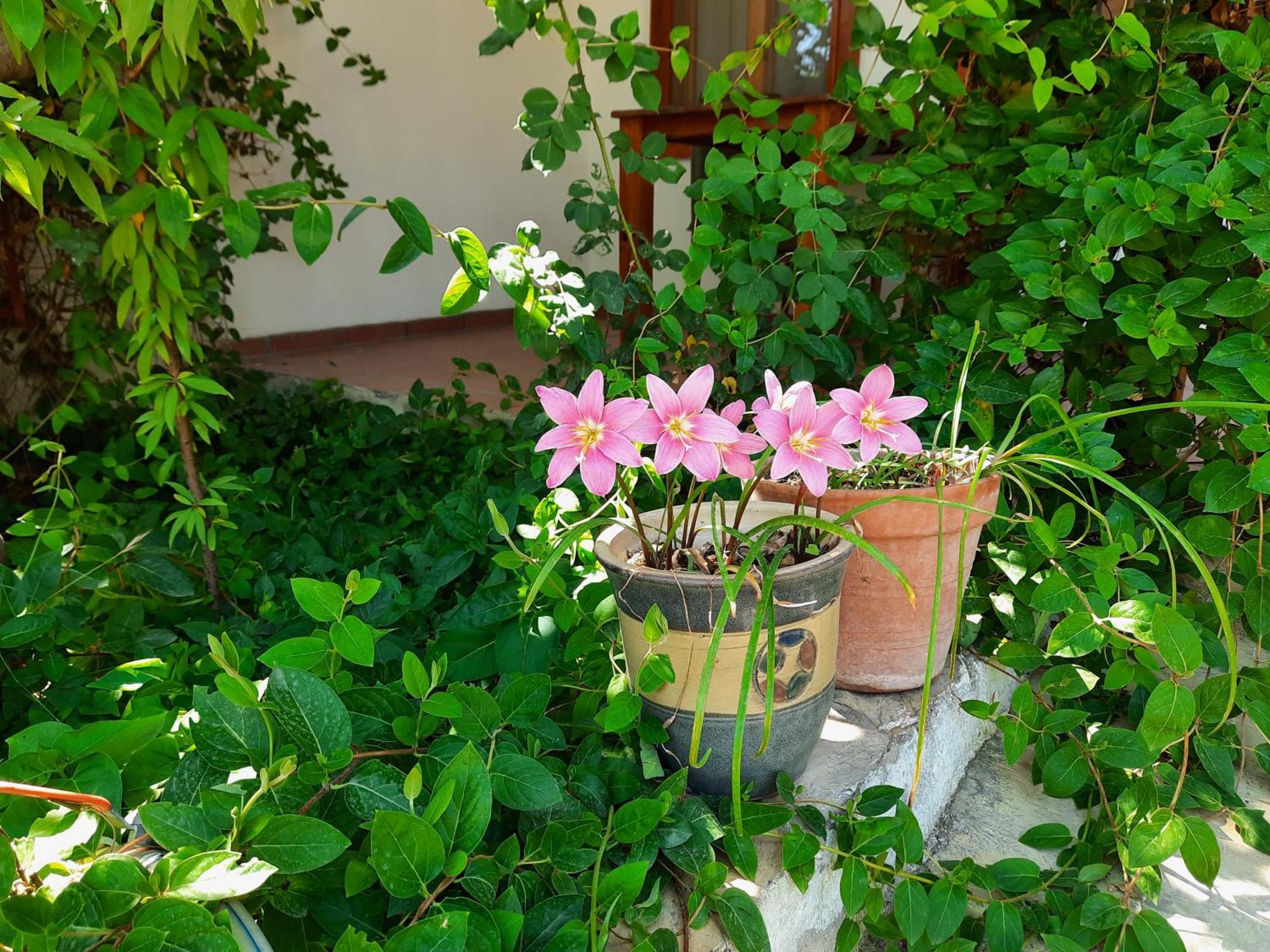 Ionia Guest House Aydin Exterior foto